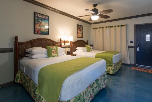 Caliente Tropics - image 7