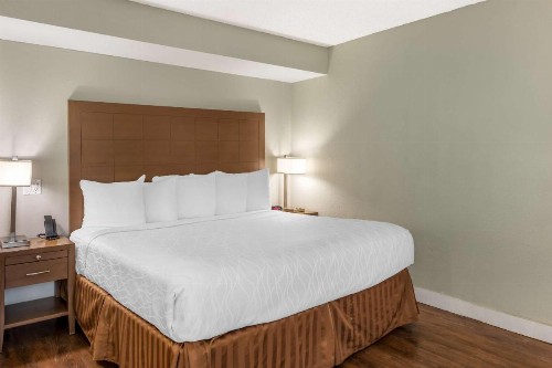 Best Western Inn at Palm Springs - image 12