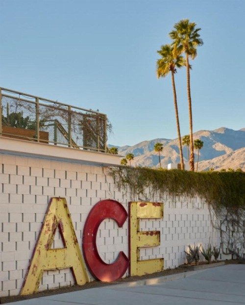 Ace Hotel and Swim Club Palm Springs - image 29