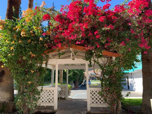Adara Palm Springs - image 19