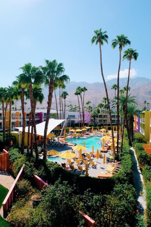 The Saguaro Palm Springs - image 1