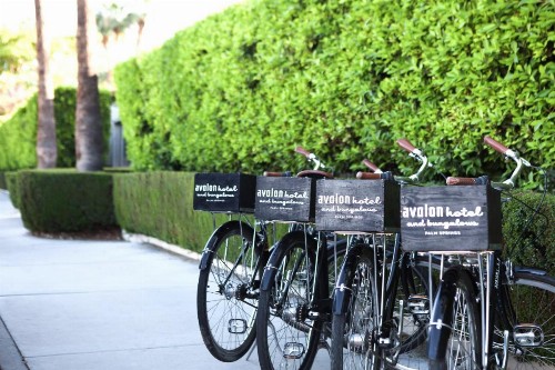 Avalon Hotel and Bungalows Palm Springs - image 24