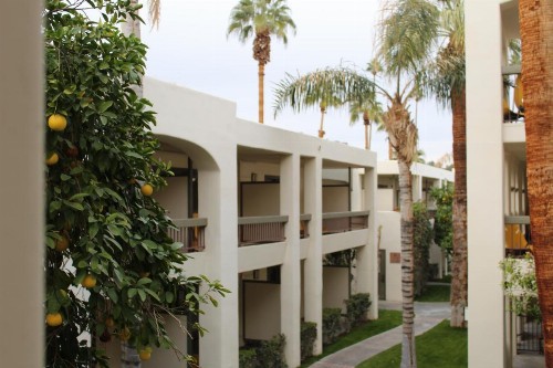 Palm Mountain Resort & Spa - image 19