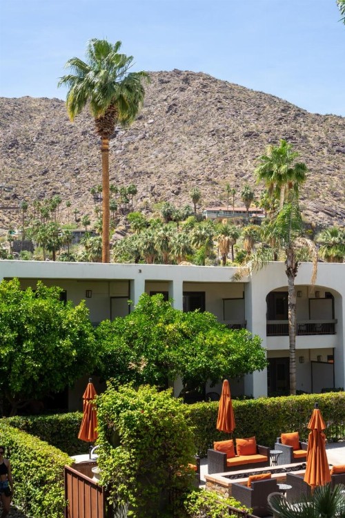 Palm Mountain Resort & Spa - image 22