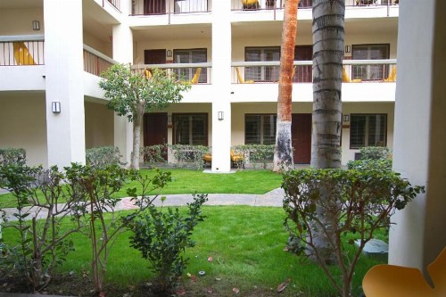 Palm Mountain Resort & Spa - image 27
