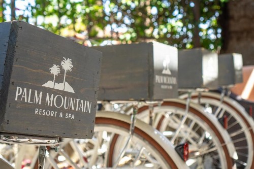 Palm Mountain Resort & Spa - image 30