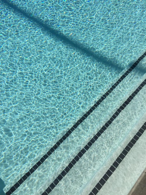 The Palm Springs Hotel - image 46