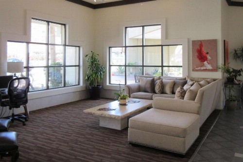 Quality Inn Palm Springs Downtown - image 10