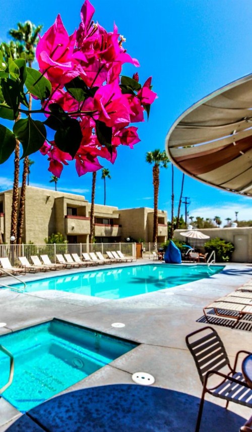 Desert Vacation Villas a VRI resort - image 15