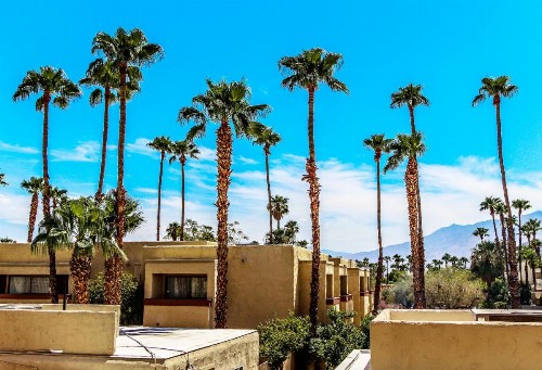Desert Vacation Villas a VRI resort - image 34