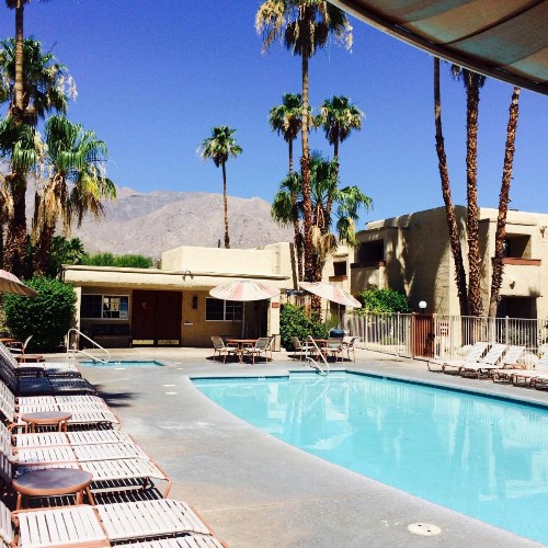 Desert Vacation Villas a VRI resort - image 39