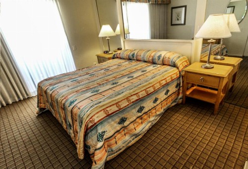 Desert Vacation Villas a VRI resort - image 40