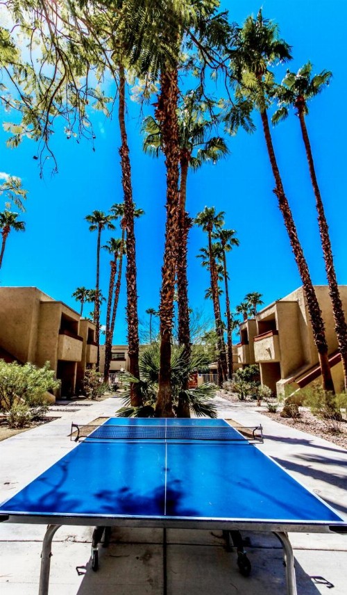 Desert Vacation Villas a VRI resort - image 43