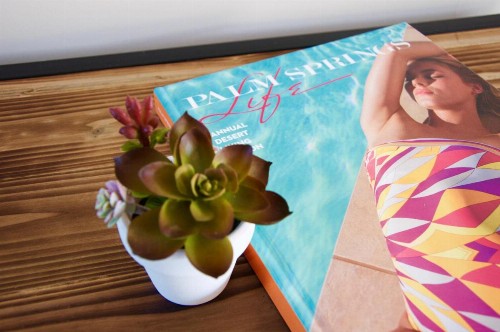 Delos Reyes Palm Springs - image 15