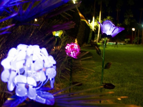 Delos Reyes Palm Springs - image 20