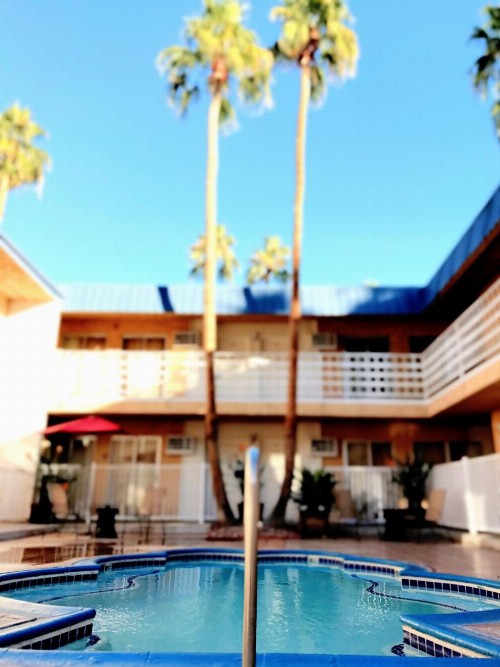 Delos Reyes Palm Springs - image 34