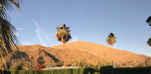 Delos Reyes Palm Springs - image 41