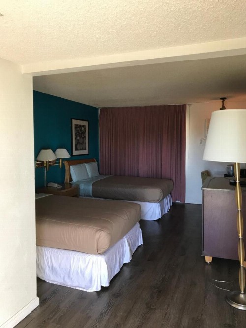 Delos Reyes Palm Springs - image 5
