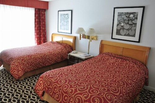 Delos Reyes Palm Springs - image 50