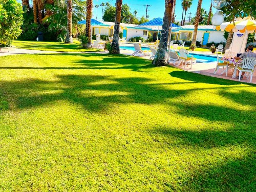 A PLACE IN THE SUN Garden Hotel - Big Units with Privacy Gardens & Heated Pool & Spa in 1 Acre Park Prime Location PET Friendly TOP Midcentury Modern Boutique Hotel - image 14