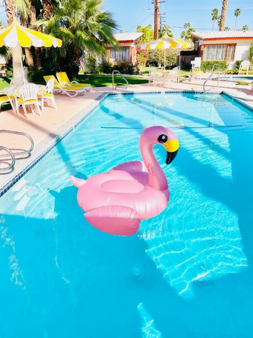 A PLACE IN THE SUN Garden Hotel - Big Units with Privacy Gardens & Heated Pool & Spa in 1 Acre Park Prime Location PET Friendly TOP Midcentury Modern Boutique Hotel - image 17