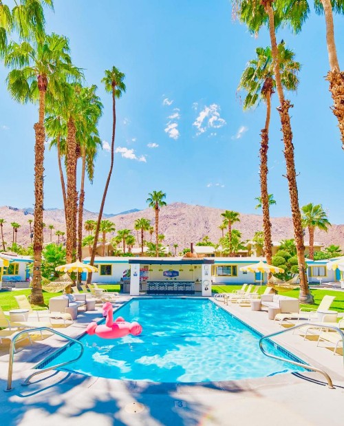 A PLACE IN THE SUN Garden Hotel - Big Units with Privacy Gardens & Heated Pool & Spa in 1 Acre Park Prime Location PET Friendly TOP Midcentury Modern Boutique Hotel - image 29