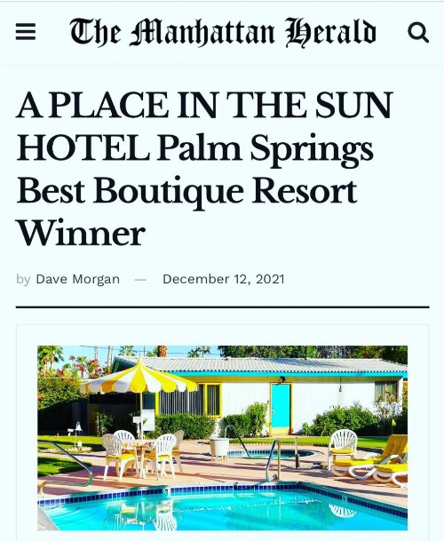 A PLACE IN THE SUN Garden Hotel - Big Units with Privacy Gardens & Heated Pool & Spa in 1 Acre Park Prime Location PET Friendly TOP Midcentury Modern Boutique Hotel - image 4