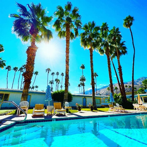 A PLACE IN THE SUN Garden Hotel - Big Units with Privacy Gardens & Heated Pool & Spa in 1 Acre Park Prime Location PET Friendly TOP Midcentury Modern Boutique Hotel - image 9