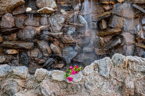 Inn at Palm Springs - image 26