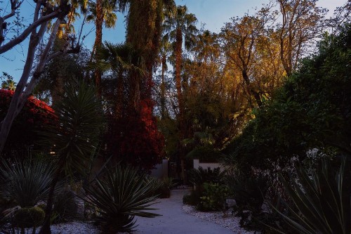 Villa Royale - image 30