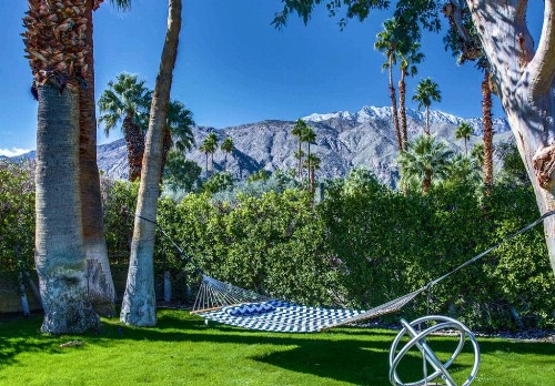 Meet Me in Palm Springs! - image 2
