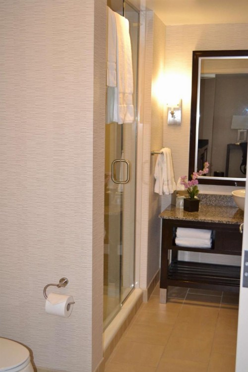 Embassy Suites Palmdale - image 25