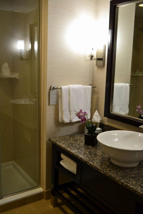 Embassy Suites Palmdale - image 26