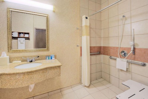 Hampton Inn & Suites Palmdale - image 8