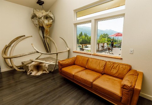 Knik River Lodge - image 16