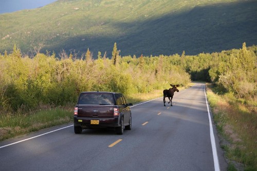 Knik River Lodge - image 33