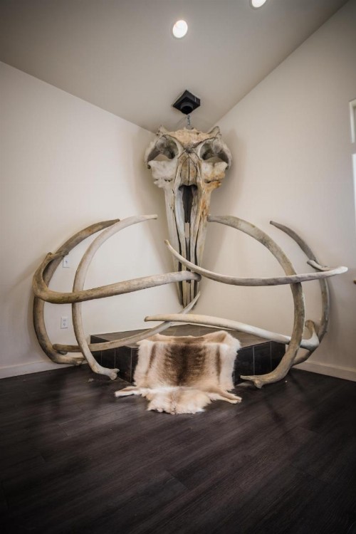 Knik River Lodge - image 38
