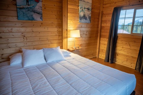 Knik River Lodge - image 44