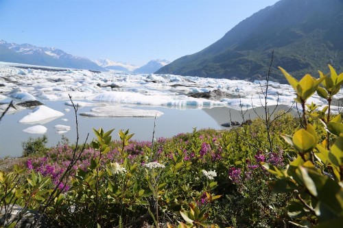 Knik River Lodge - image 45