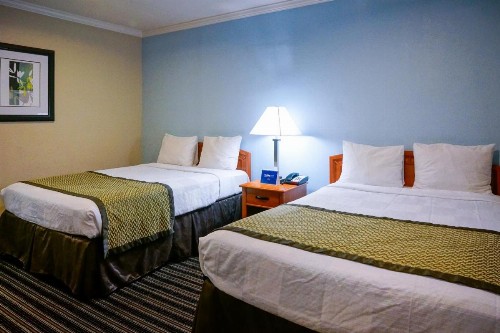 Hotel Parmani - image 11