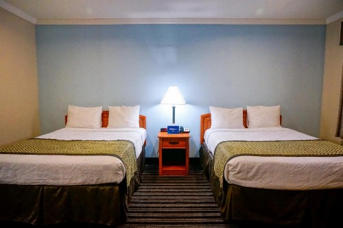 Hotel Parmani - image 22