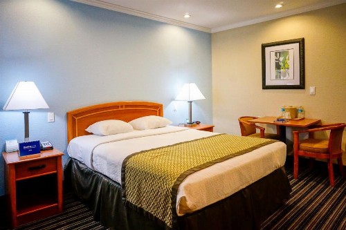 Hotel Parmani - image 24