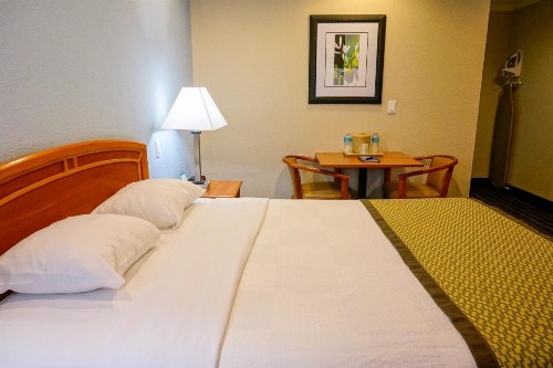 Hotel Parmani - image 7
