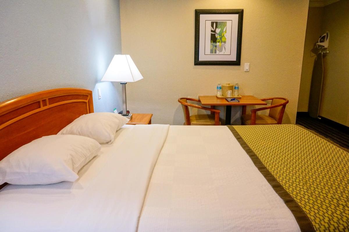 Hotel Parmani - image 7