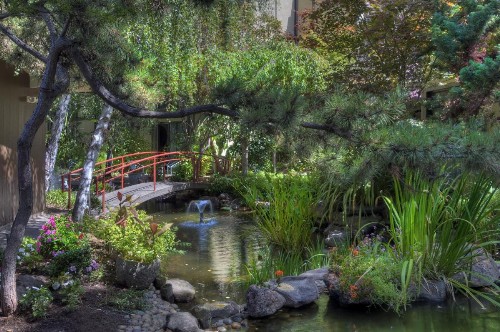Dinah's Garden Hotel - image 11