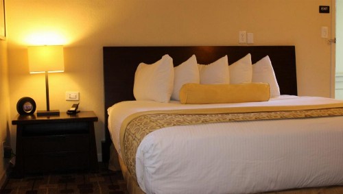 The Zen Hotel Palo Alto - image 5