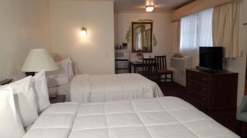 Stanford Motor Inn - image 13