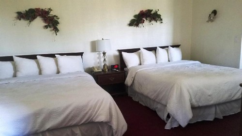 Stanford Motor Inn - image 2
