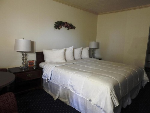 Stanford Motor Inn - image 4