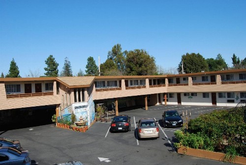 Stanford Motor Inn - image 6